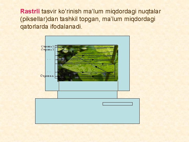 Rastrli tasvir ko’rinish ma’lum miqdordagi nuqtalar (piksellar)dan tashkil topgan, ma’lum miqdordagi qatorlarda ifodalanadi. Rastrli tasvir ko’rinish ma’lum miqdordagi nuqtalar (piksellar)dan tashkil topgan, ma’lum miqdordagi qatorlarda ifodalanadi.
