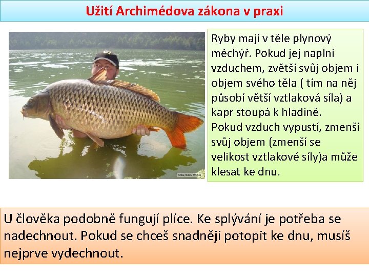 Užití Archimédova zákona v praxi Ryby mají v těle plynový měchýř. Pokud jej naplní