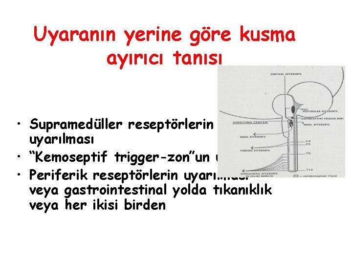 Uyaranın yerine göre kusma ayırıcı tanısı • Supramedüller reseptörlerin uyarılması • “Kemoseptif trigger-zon”un uyarılması