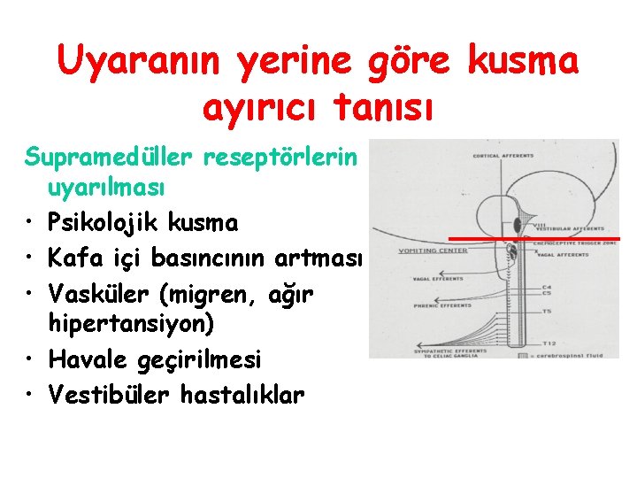 Uyaranın yerine göre kusma ayırıcı tanısı Supramedüller reseptörlerin uyarılması • Psikolojik kusma • Kafa