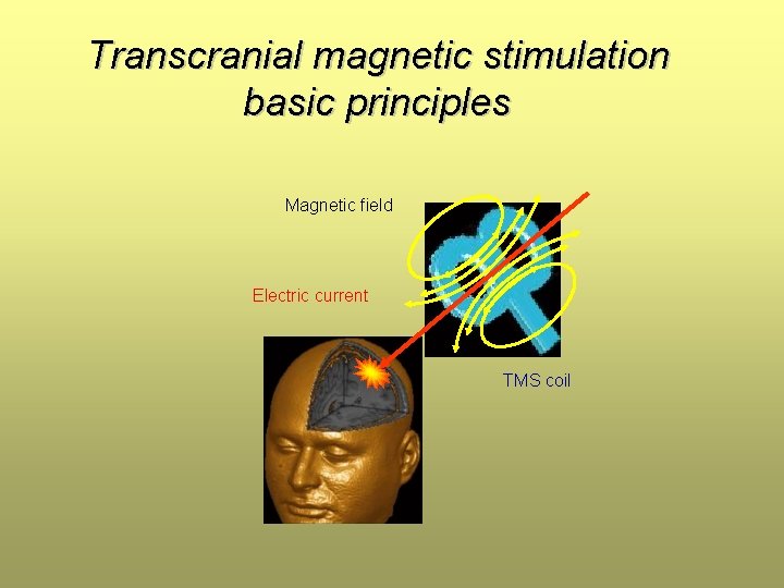 Transcranial magnetic stimulation basic principles Magnetic field Electric current TMS coil Transcranial magnetic stimulation basic principles Magnetic field Electric current TMS coil