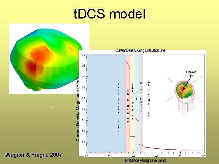 t. DCS model Wagner & Fregni, 2007 t. DCS model Wagner & Fregni, 2007