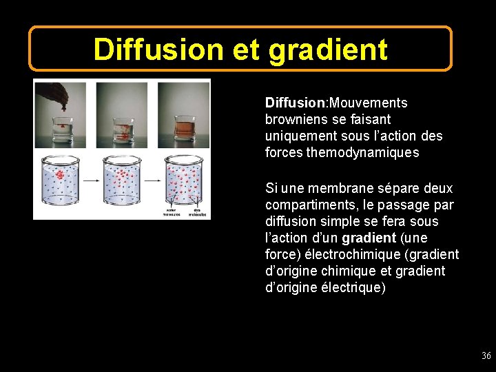 Diffusion et gradient Diffusion: Mouvements browniens se faisant uniquement sous l’action des forces themodynamiques