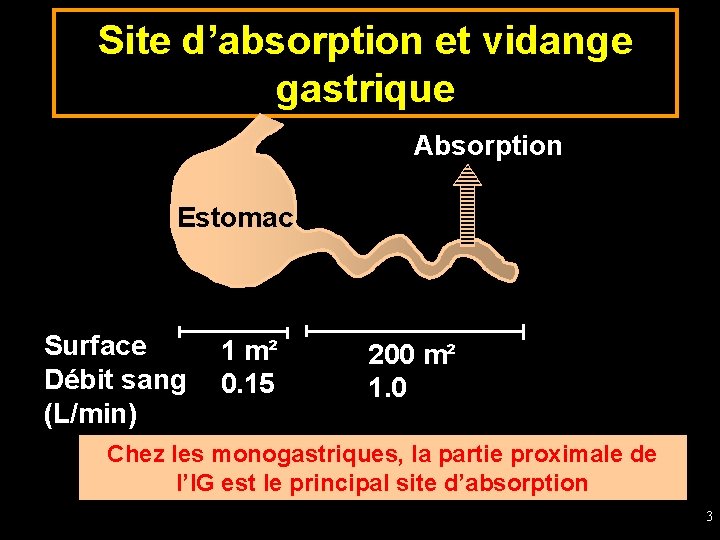 Site d’absorption et vidange gastrique Absorption Estomac Surface Débit sang (L/min) 1 m² 0.