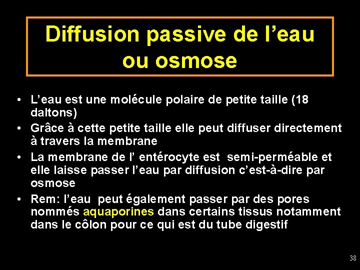 Diffusion passive de l’eau ou osmose • L’eau est une molécule polaire de petite
