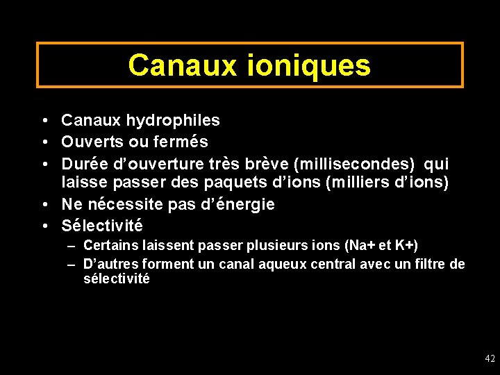 Canaux ioniques • Canaux hydrophiles • Ouverts ou fermés • Durée d’ouverture très brève