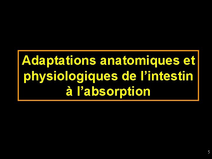 Adaptations anatomiques et physiologiques de l’intestin à l’absorption 5 