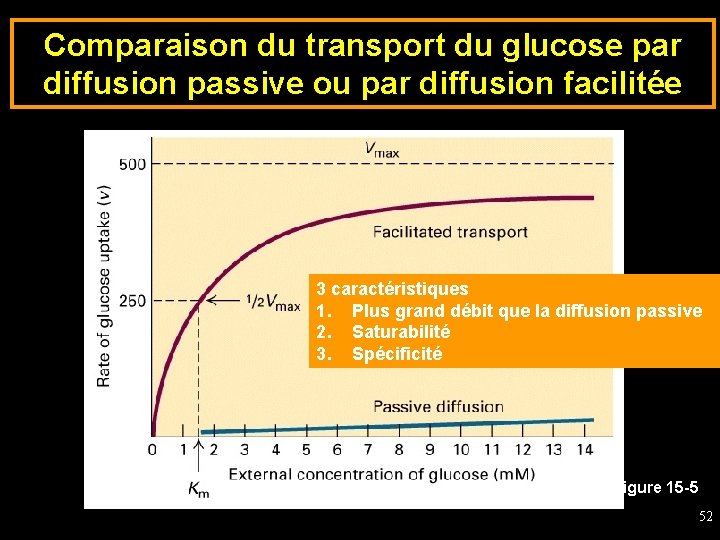 Comparaison du transport du glucose par diffusion passive ou par diffusion facilitée 3 caractéristiques