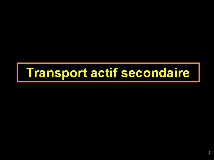 Transport actif secondaire 61 