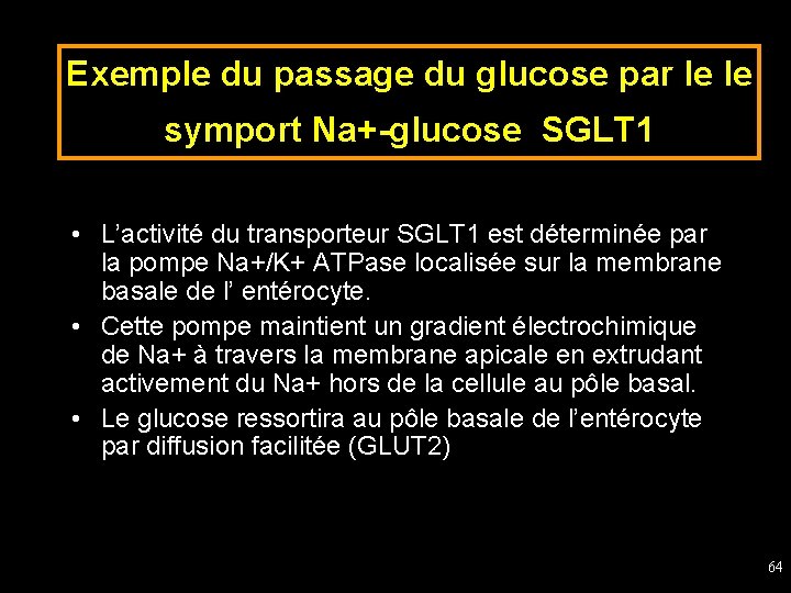 Exemple du passage du glucose par le le symport Na+-glucose SGLT 1 • L’activité