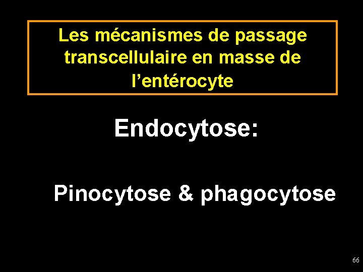 Les mécanismes de passage transcellulaire en masse de l’entérocyte Endocytose: Pinocytose & phagocytose 66