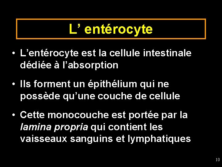 L’ entérocyte • L’entérocyte est la cellule intestinale dédiée à l’absorption • Ils forment