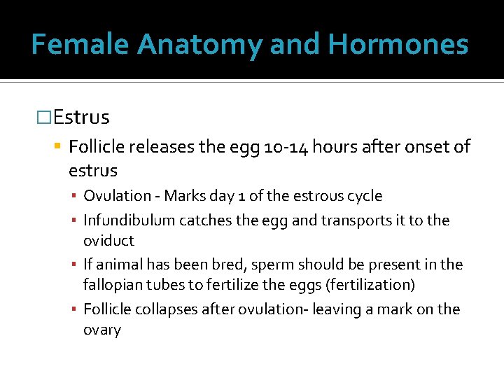 Female Anatomy and Hormones �Estrus Follicle releases the egg 10 -14 hours after onset Female Anatomy and Hormones �Estrus Follicle releases the egg 10 -14 hours after onset