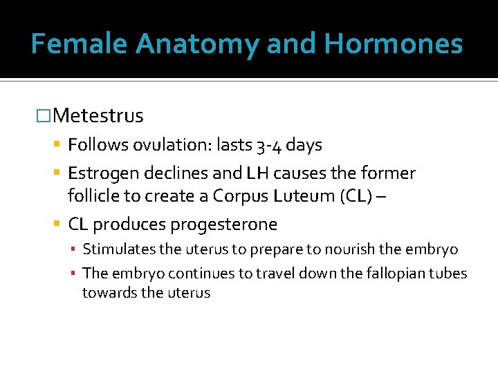 Female Anatomy and Hormones �Metestrus Follows ovulation: lasts 3 -4 days Estrogen declines and Female Anatomy and Hormones �Metestrus Follows ovulation: lasts 3 -4 days Estrogen declines and