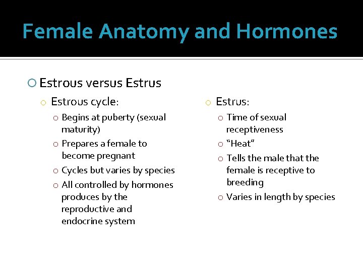 Female Anatomy and Hormones Estrous versus Estrus o Estrous cycle: o Begins at puberty Female Anatomy and Hormones Estrous versus Estrus o Estrous cycle: o Begins at puberty