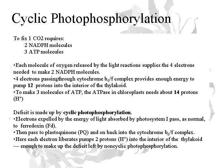 Cyclic Photophosphorylation To fix 1 CO 2 requires: 2 NADPH molecules 3 ATP molecules