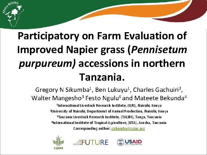 Participatory on Farm Evaluation of Improved Napier grass (Pennisetum purpureum) accessions in northern Tanzania.