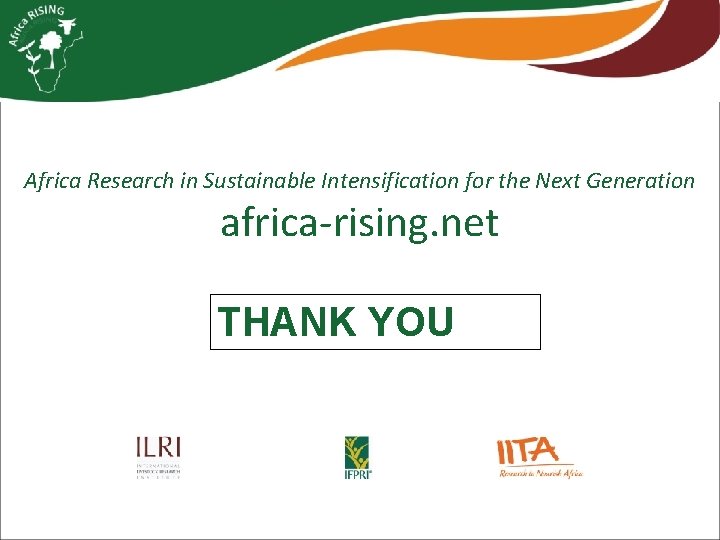 Africa Research in Sustainable Intensification for the Next Generation africa-rising. net THANK YOU 