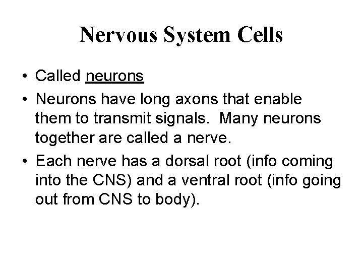 Nervous System Cells • Called neurons • Neurons have long axons that enable them