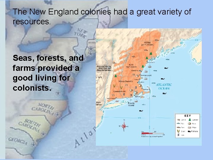 The New England colonies had a great variety of resources. Seas, forests, and farms