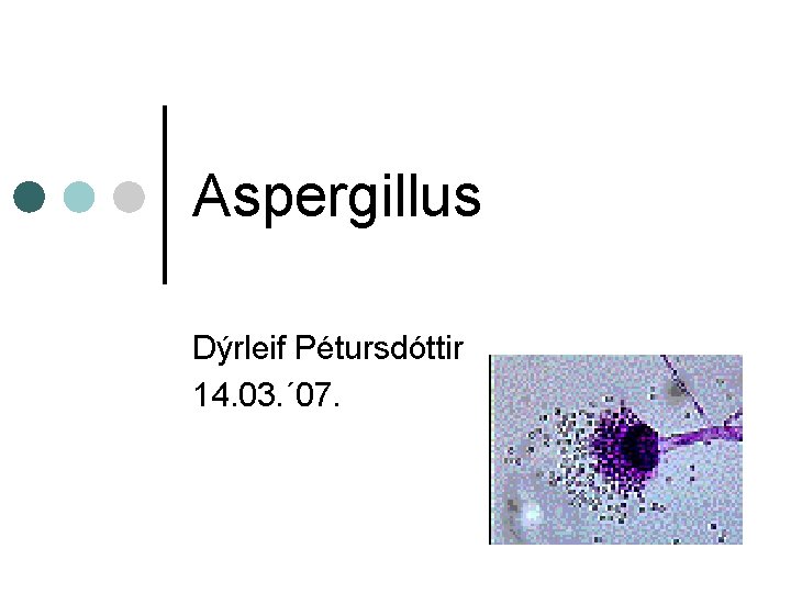 Aspergillus Dýrleif Pétursdóttir 14. 03. ´ 07. 