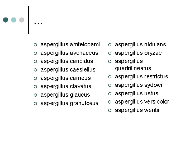 . . . ¢ ¢ ¢ ¢ aspergillus amtelodami aspergillus avenaceus aspergillus candidus aspergillus