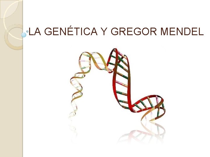 LA GENÉTICA Y GREGOR MENDEL 