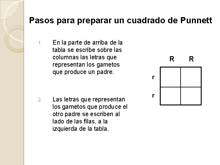 Pasos para preparar un cuadrado de Punnett 1. 2. En la parte de arriba