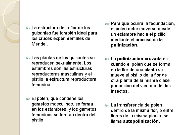  La estructura de la flor de los guisantes fue también ideal para los