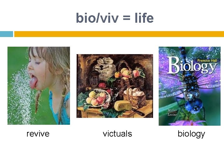 bio/viv = life revive victuals biology 