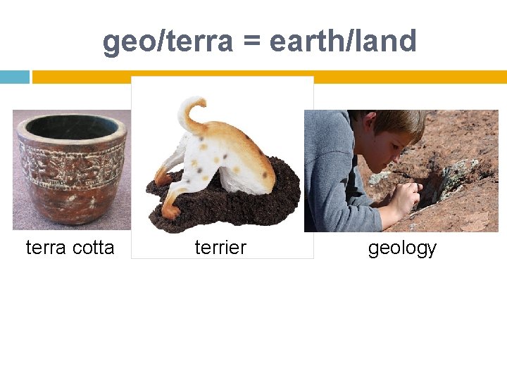 geo/terra = earth/land terra cotta terrier geology 