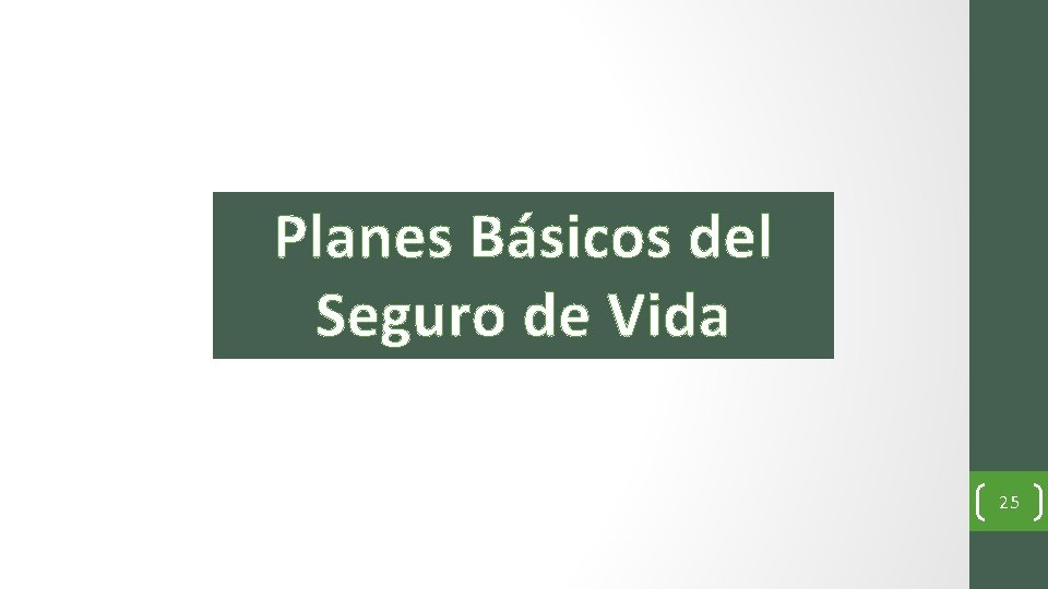 Planes Básicos del Seguro de Vida 25 