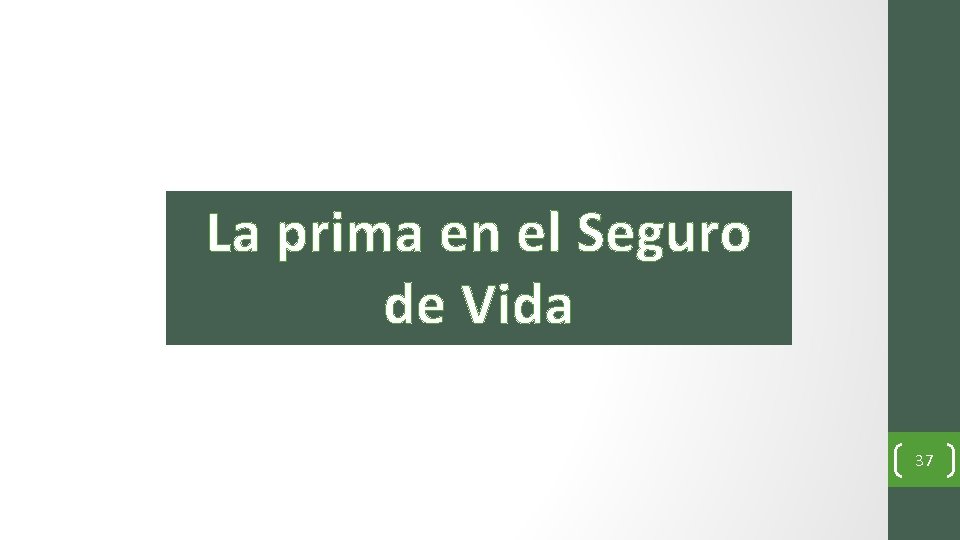 La prima en el Seguro de Vida 37 