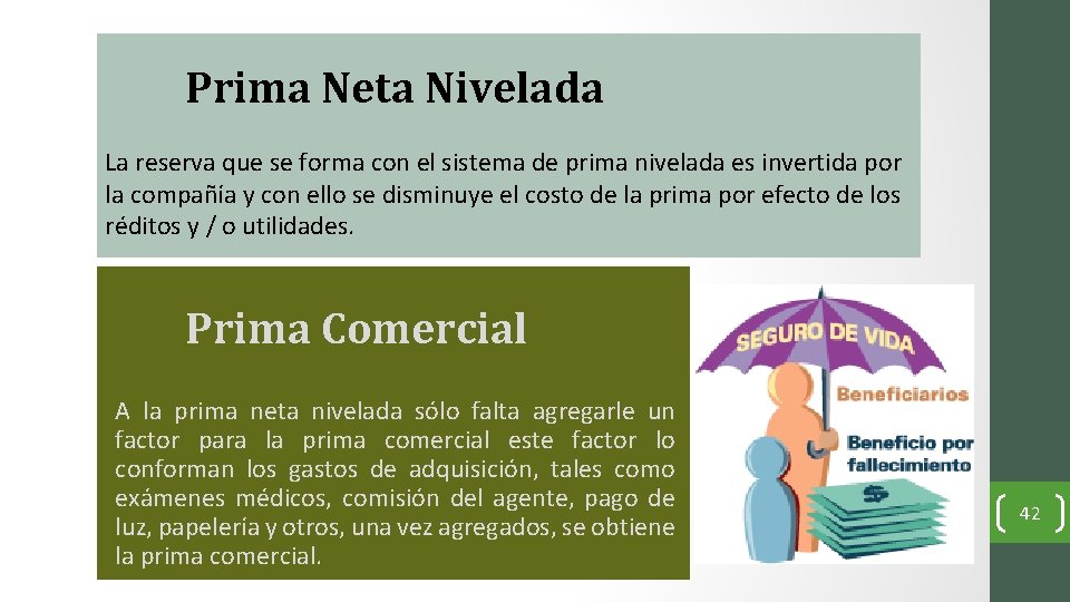 Prima Neta Nivelada La reserva que se forma con el sistema de prima nivelada