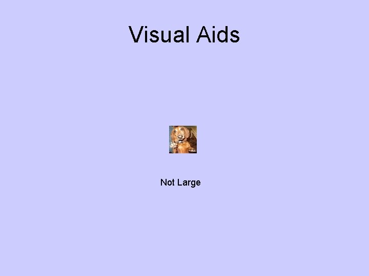 Visual Aids Not Large  Visual Aids Not Large