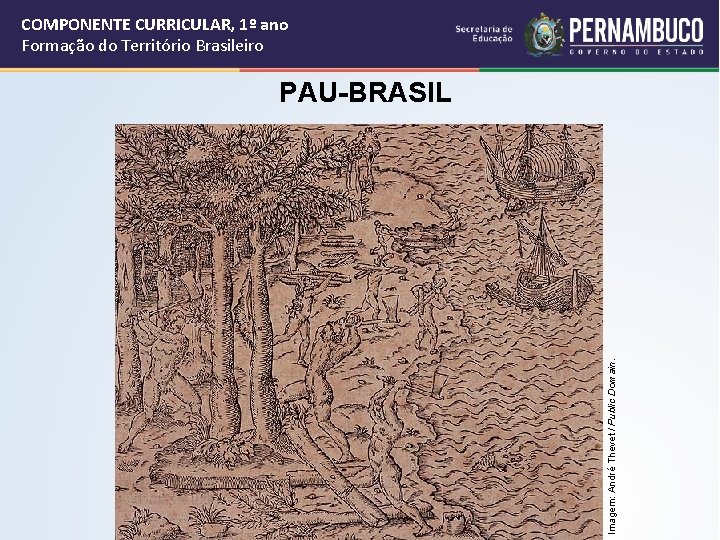 COMPONENTE CURRICULAR, 1º ano Formação do Território Brasileiro Imagem: André Thevet / Public Domain.