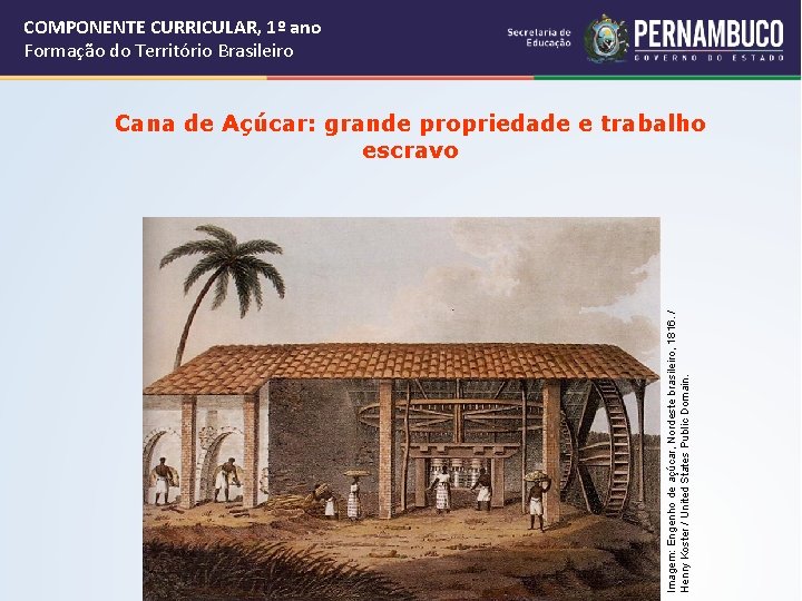 COMPONENTE CURRICULAR, 1º ano Formação do Território Brasileiro Imagem: Engenho de açúcar, Nordeste brasileiro,