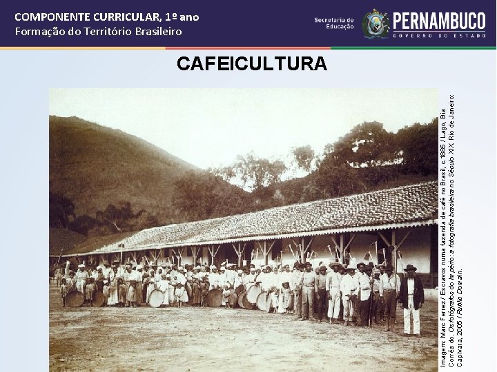 Imagem: Marc Ferrez / Escravos numa fazenda de café no Brasil, c. 1885 /