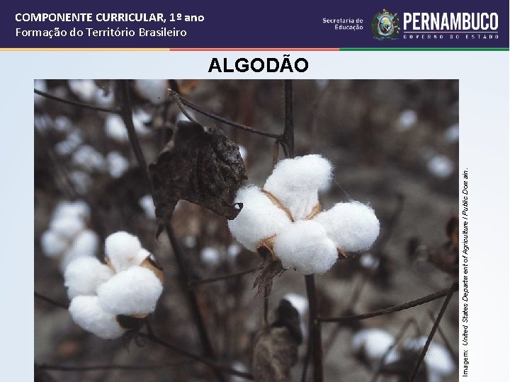 COMPONENTE CURRICULAR, 1º ano Formação do Território Brasileiro Imagem: United States Department of Agriculture