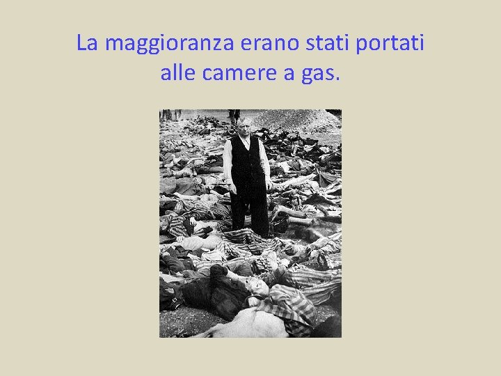 La maggioranza erano stati portati alle camere a gas. 