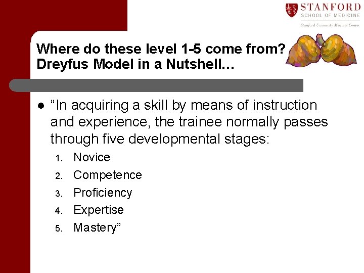 Where do these level 1 -5 come from? Dreyfus Model in a Nutshell… l