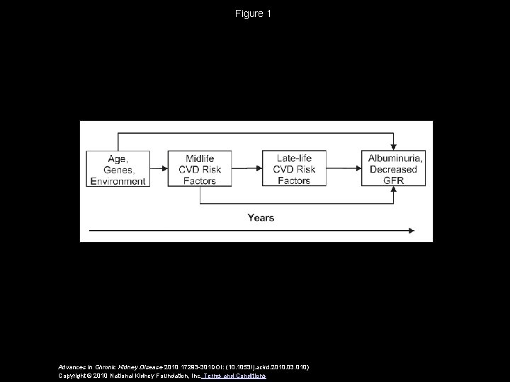 Figure 1 Advances in Chronic Kidney Disease 2010 17293 -301 DOI: (10. 1053/j. ackd.