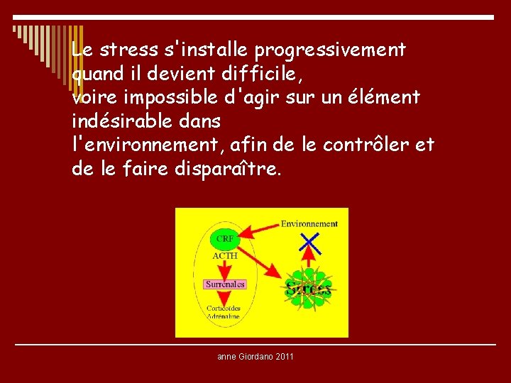 Le stress s'installe progressivement quand il devient difficile, voire impossible d'agir sur un élément