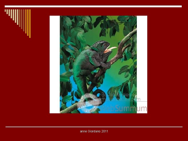 anne Giordano 2011 anne Giordano 2011