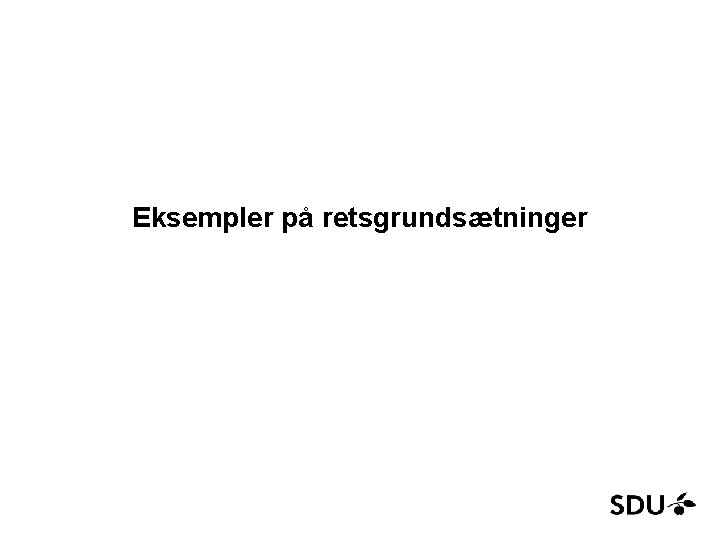 Eksempler på retsgrundsætninger 