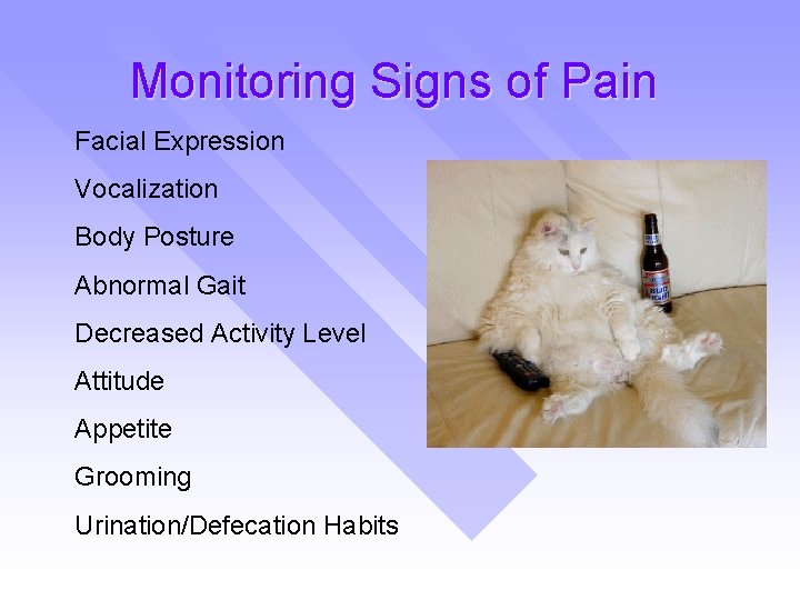 Monitoring Signs of Pain Facial Expression Vocalization Body Posture Abnormal Gait Decreased Activity Level