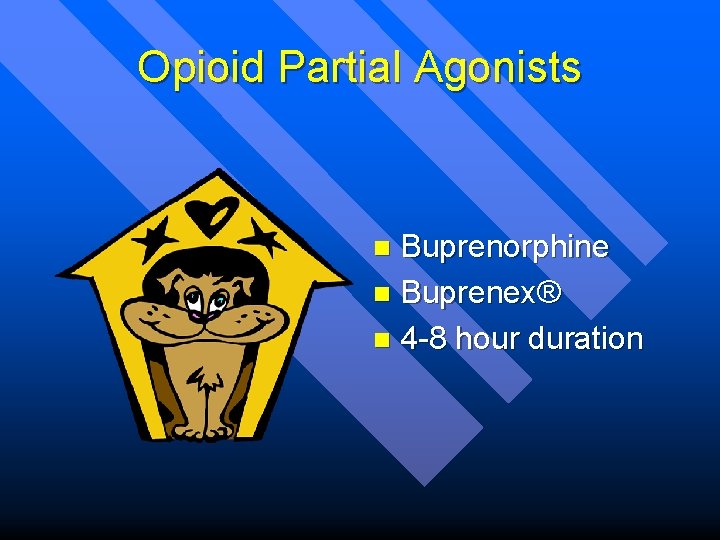 Opioid Partial Agonists Buprenorphine n Buprenex® n 4 -8 hour duration n 