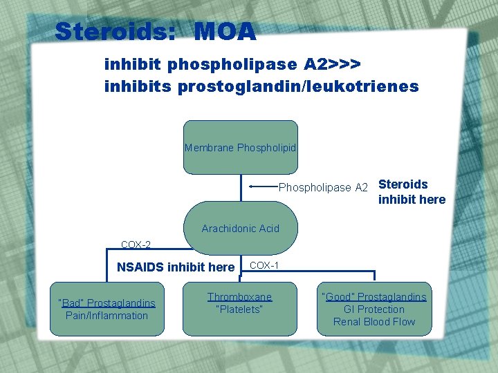Steroids: MOA inhibit phospholipase A 2>>> inhibits prostoglandin/leukotrienes Membrane Phospholipid Phospholipase A 2 Steroids
