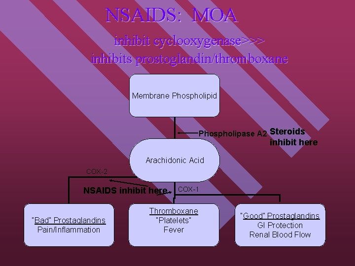 NSAIDS: MOA inhibit cyclooxygenase>>> inhibits prostoglandin/thromboxane Membrane Phospholipid Phospholipase A 2 Steroids inhibit here