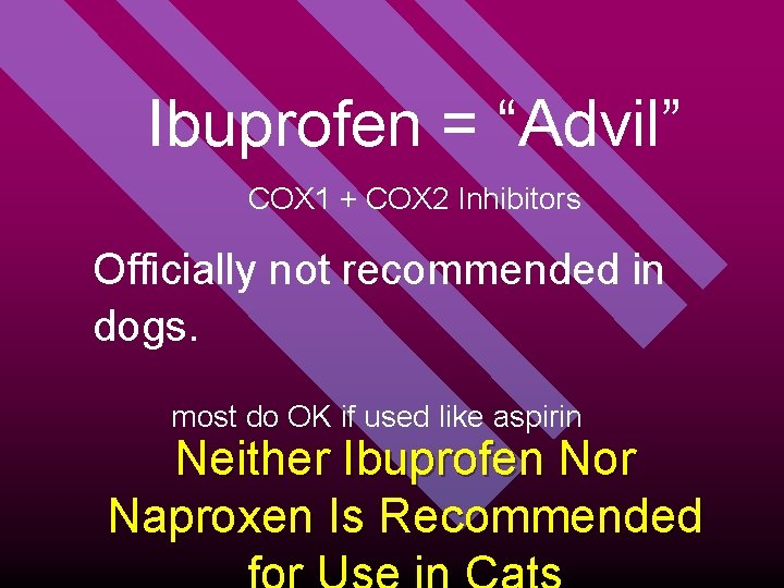 Ibuprofen = “Advil” COX 1 + COX 2 Inhibitors Officially not recommended in dogs.